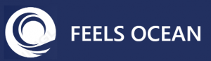 feels ocean